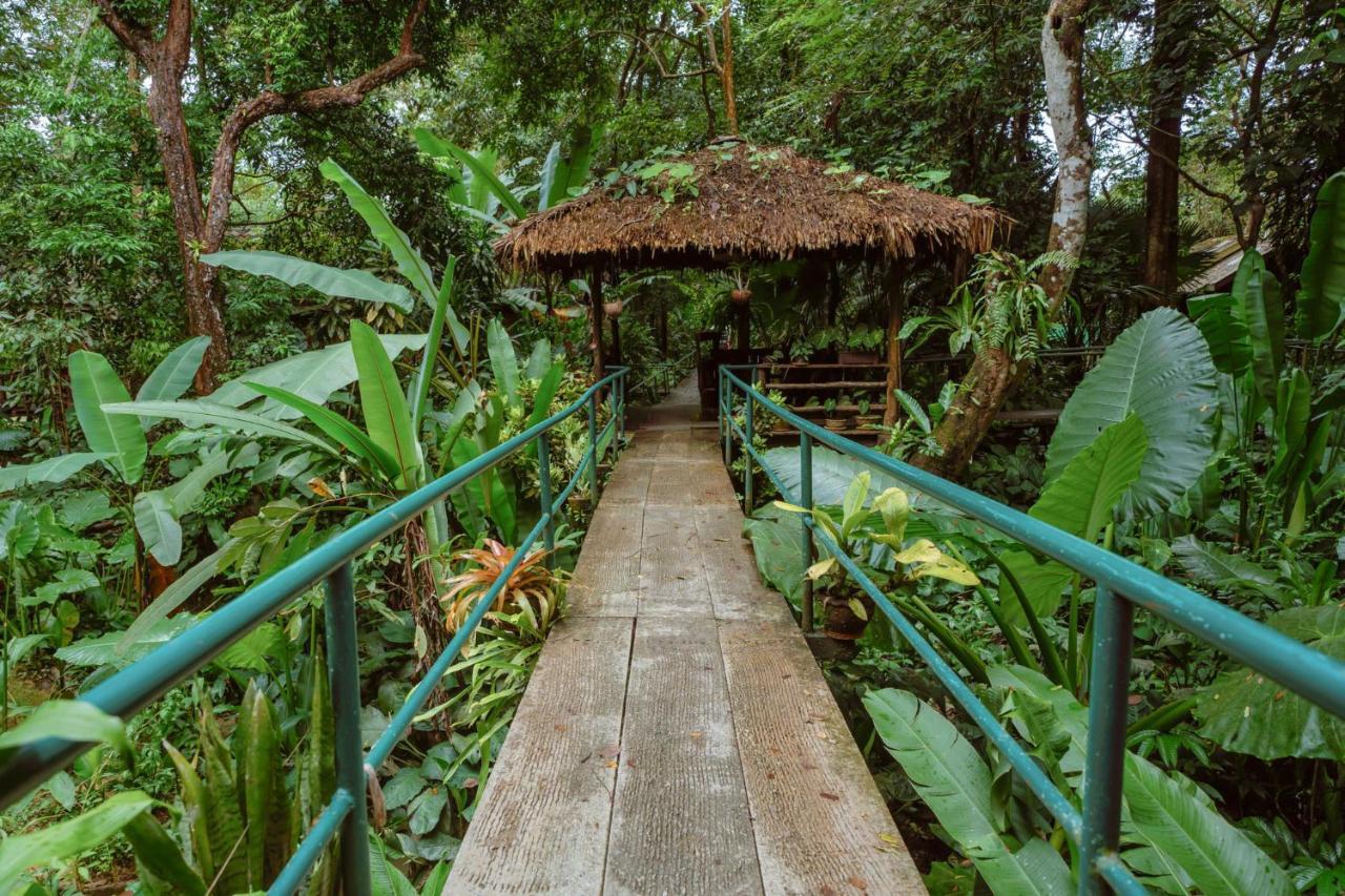 Khao Sok Riverside Cottages Khao Sok National Park Exterior foto