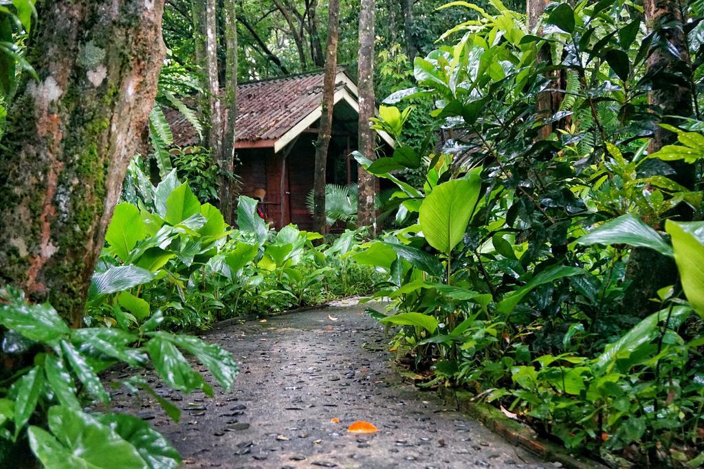 Khao Sok Riverside Cottages Khao Sok National Park Exterior foto