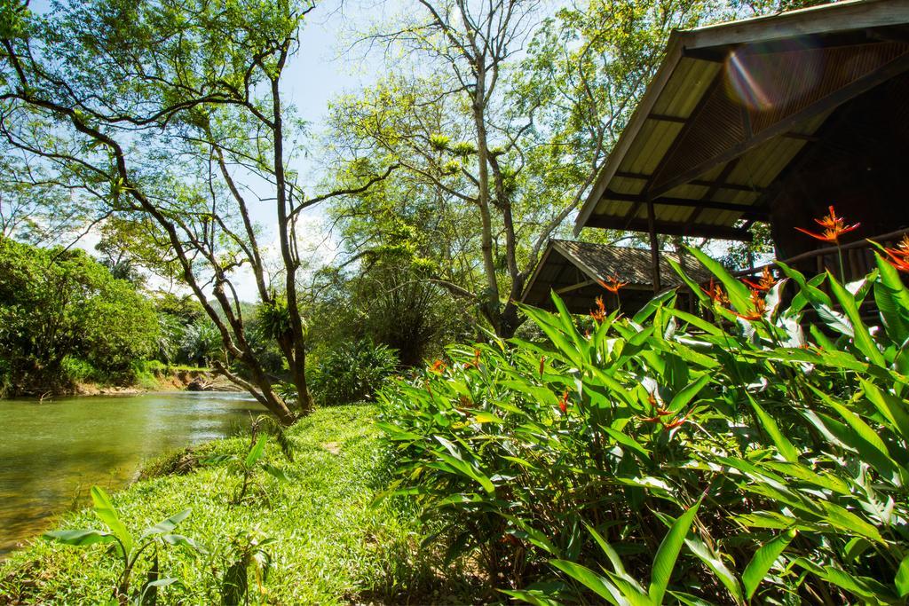 Khao Sok Riverside Cottages Khao Sok National Park Exterior foto