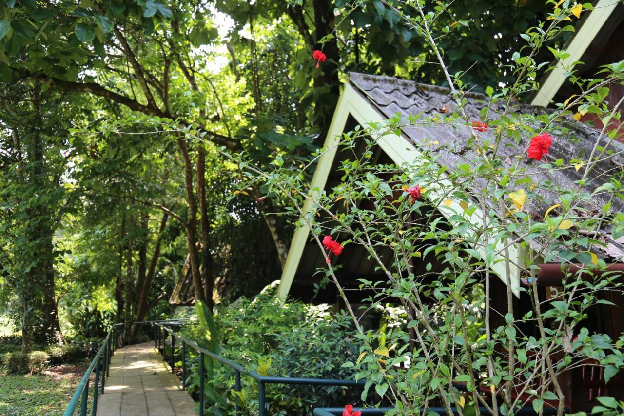 Khao Sok Riverside Cottages Khao Sok National Park Exterior foto